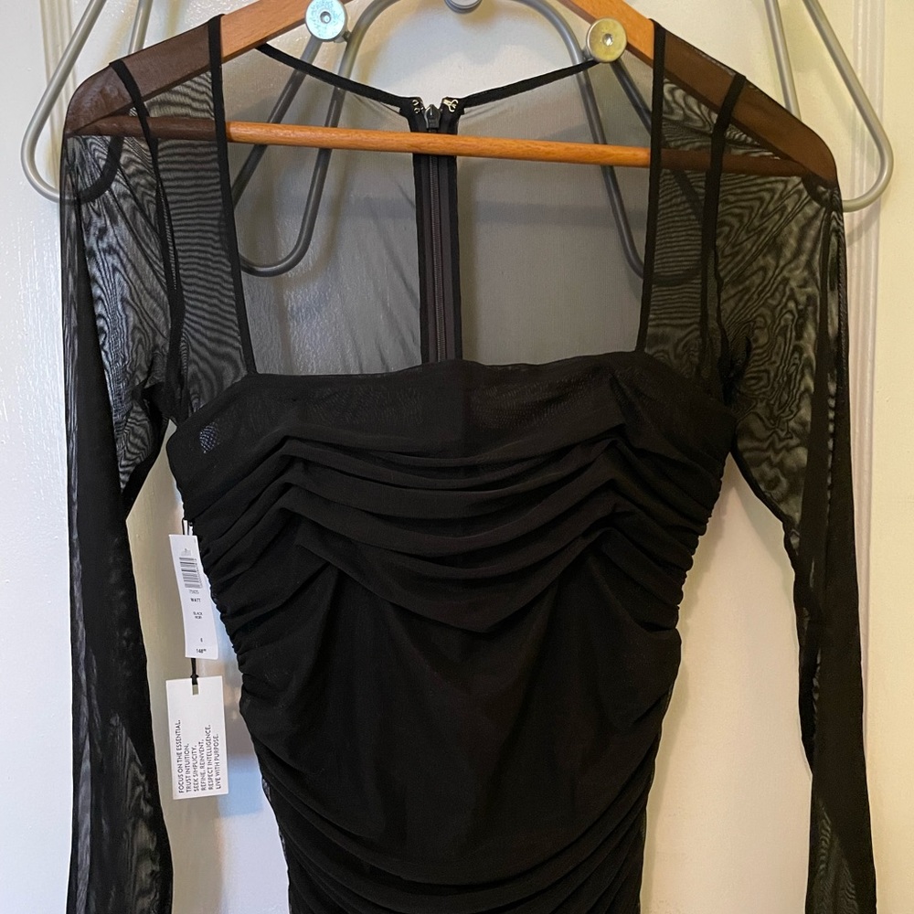Aritzia ruched mesh dress
